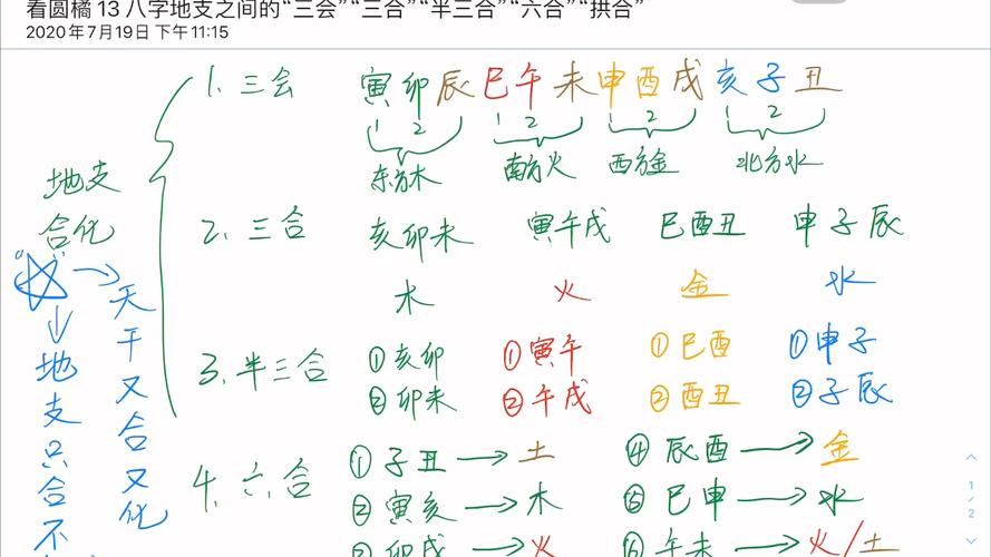 八字中的六合 十二地支6合是什么意思